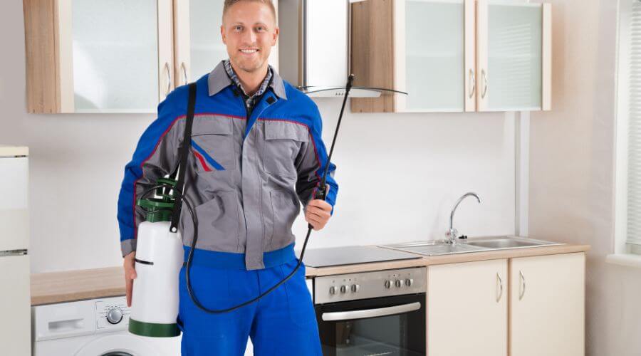 Professional Pest Extermination Services in Kansas City